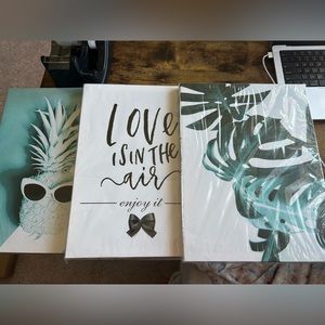3 pcs canvas wall art